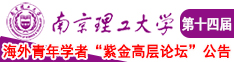 好屌插B南京理工大学第十四届海外青年学者紫金论坛诚邀海内外英才！